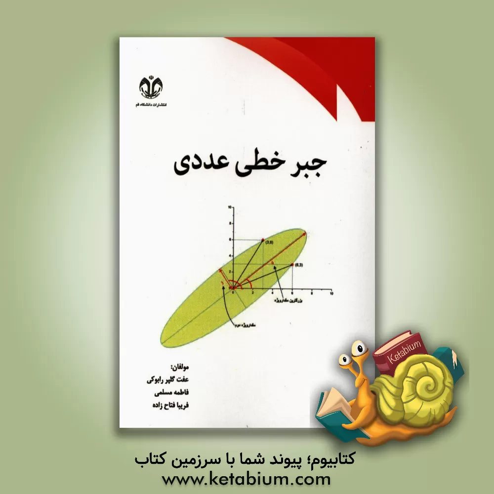 کتاب جبر خطی عددی اثر فریبا فتاح‌زاده