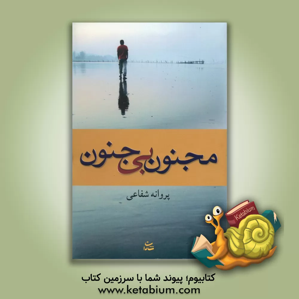 کتاب مجنون بی جنون اثر پروانه شفاعی