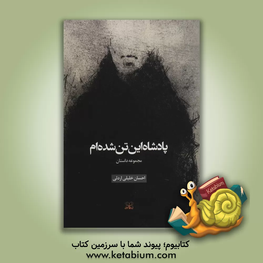 کتاب پادشاه این تن شده ام اثر احسان خلیلی‌اردلی