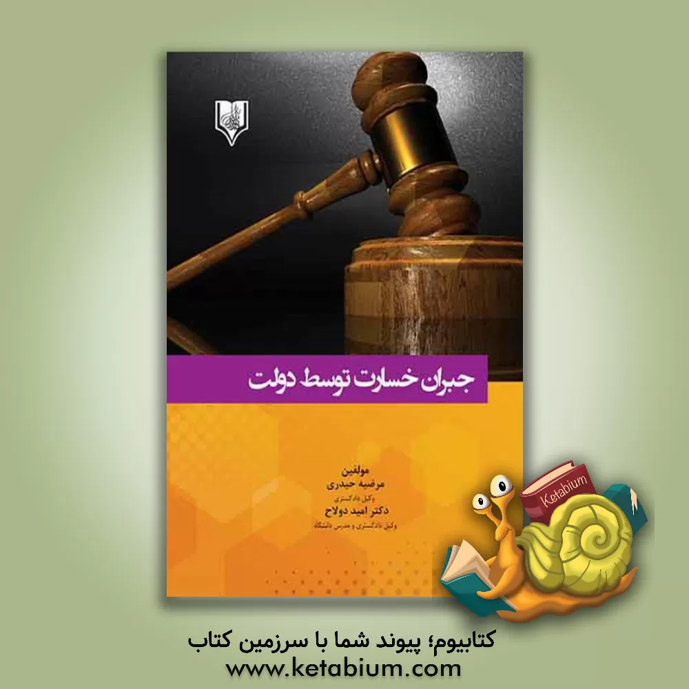 کتاب جبران خسارت توسط دولت اثر امید دولاح