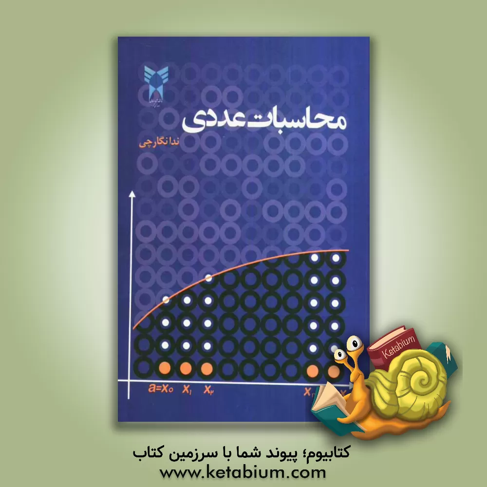 کتاب محاسبات عددی اثر ندا نگارچی