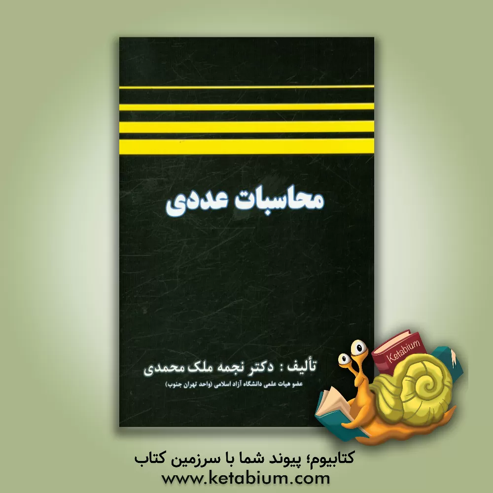 کتاب محاسبات عددی اثر نجمه ملک‌محمدی