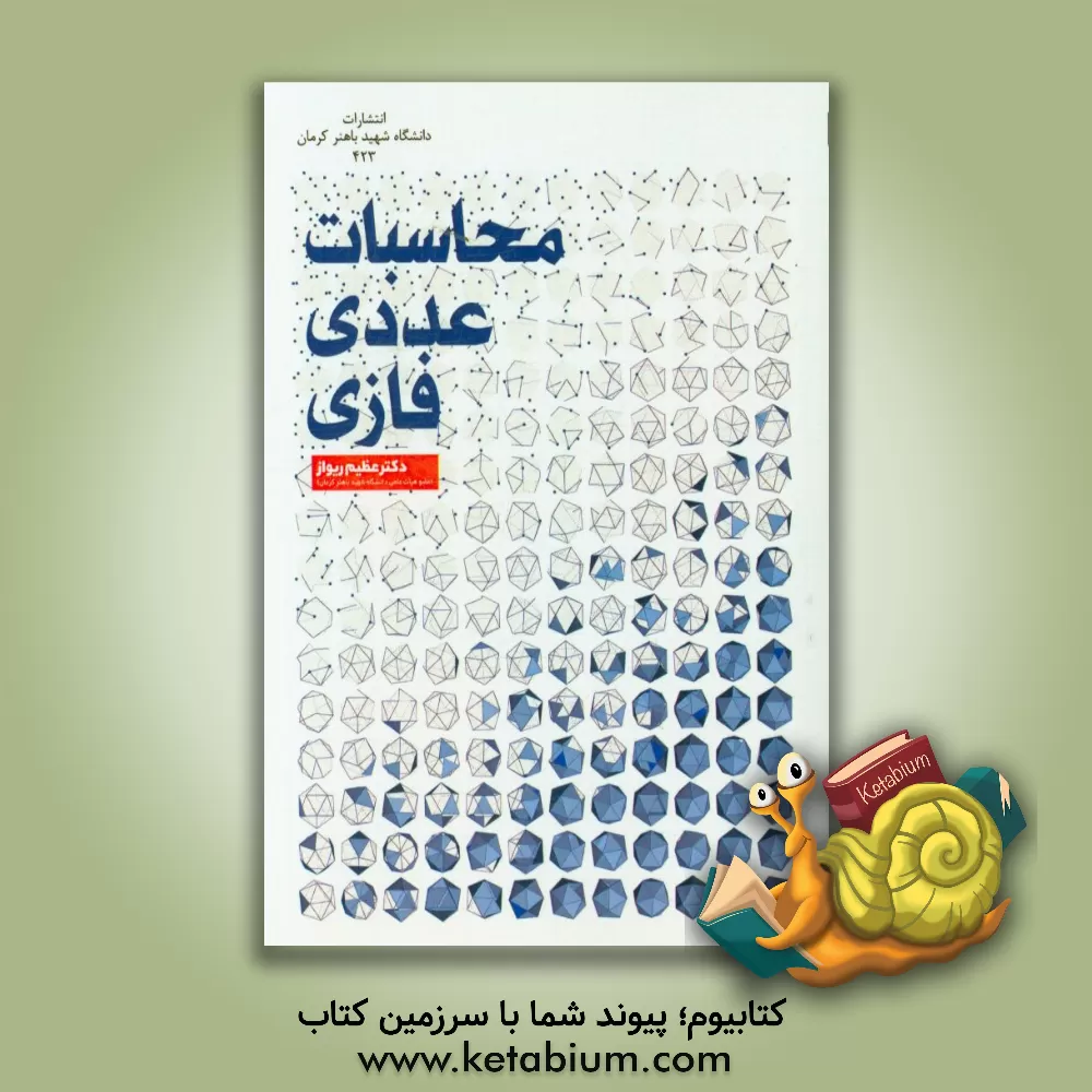 کتاب محاسبات عددی فازی اثر عظیم ری‍واز