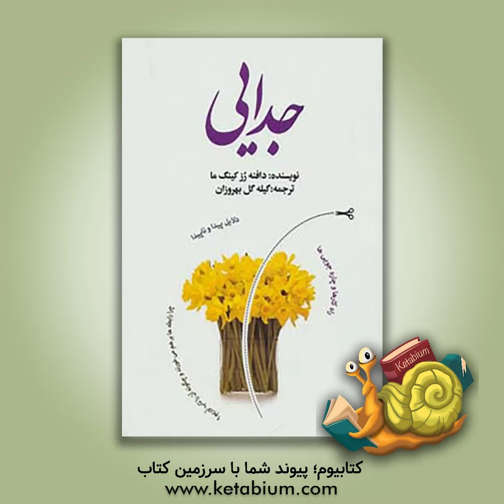 کتاب جدایی: دلایل پیدا و ناپیدا، راه کارها و چاره جویی ها: چرا رابطه ها بر هم می خورند و چگونه آن را تاب آوریم اثر رزکینگ‌ما دافنه