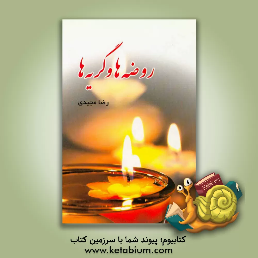 کتاب روضه ها و گریه ها اثر رضا مجیدی