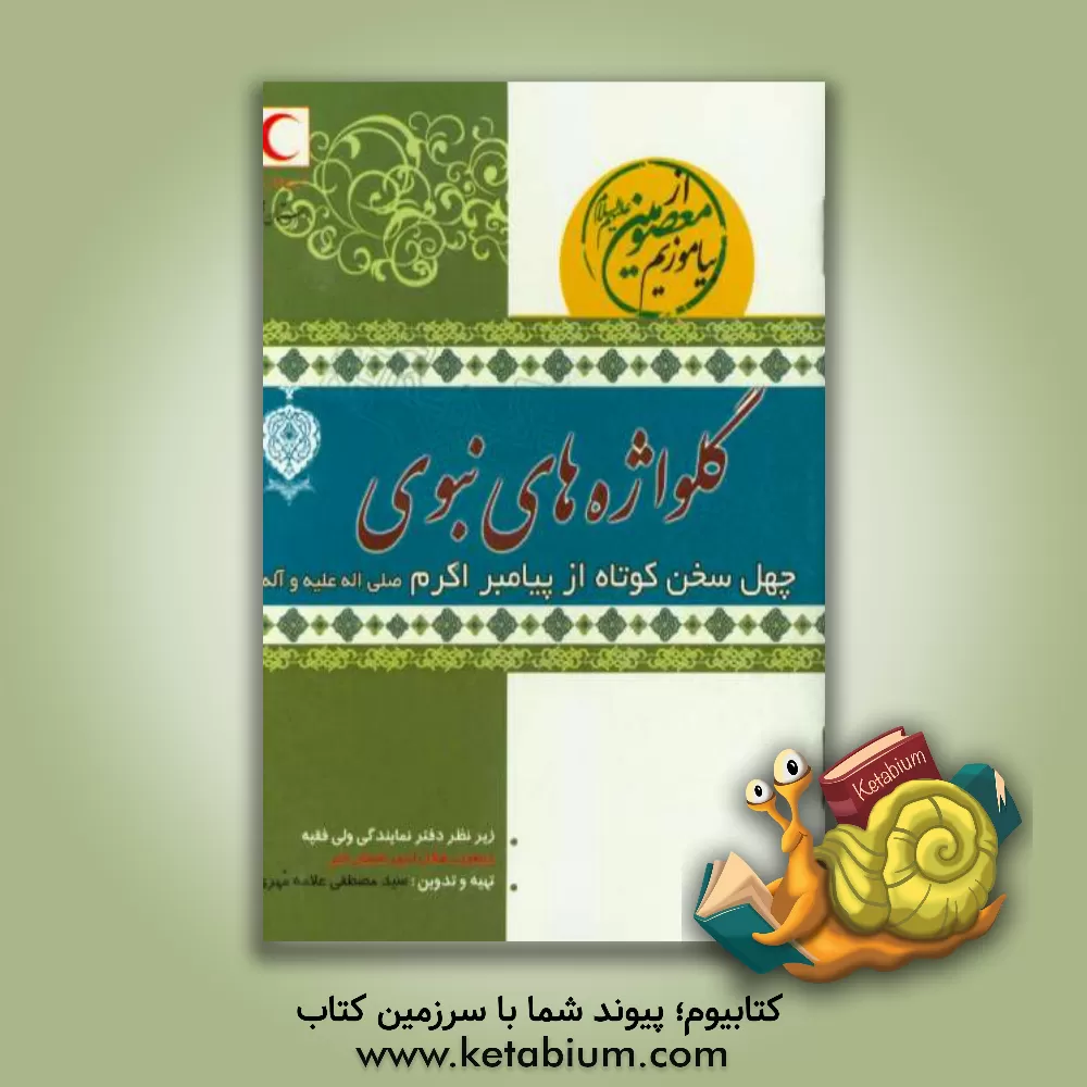 کتاب محبوبه الرسول: 40 ویژگی از خصوصیات ام المومنین حضرت خدیجه کبری (ع) اثر سیدمصطفی علامه‌مهری