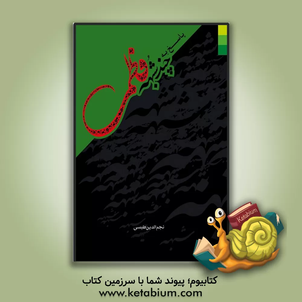 کتاب پاسخ به چند شبهه فاطمی اثر نجم‌الدین طبسی