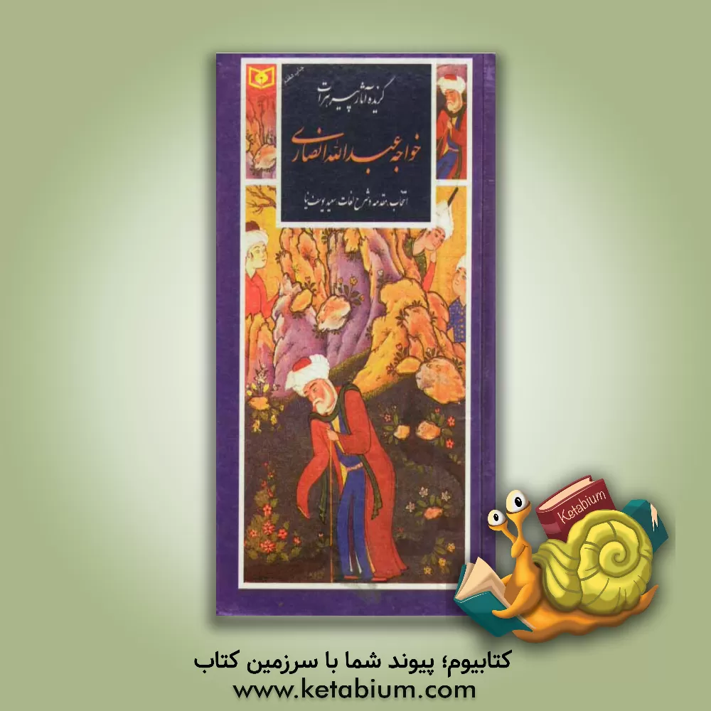 کتاب گزیده آثار پیر هرات خواجه عبدالله انصاری اثر سعید یوسف‌نیا