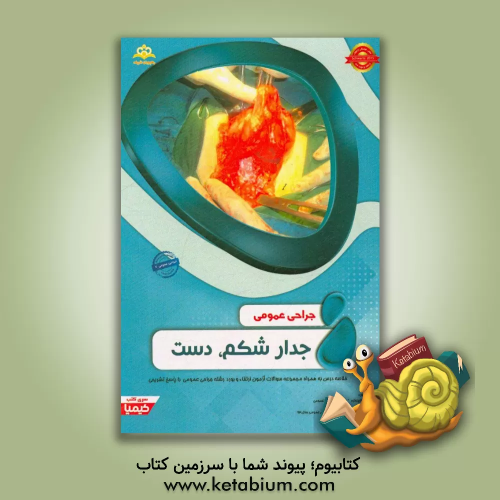 کتاب جراحی عمومی: جدار شکم، دست: خلاصه درس به همراه مجموعه سوالات آزمون ارتقاء و بورد جراحی عمومی با پاسخ تشریحی Schwartz 2017 اثر مهتاب فلاح‌زواره