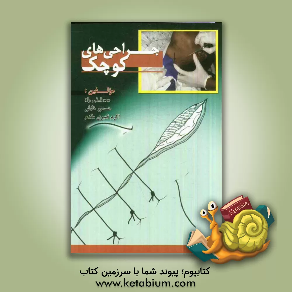 کتاب جراحی های کوچک |اثر حسن خلیلی