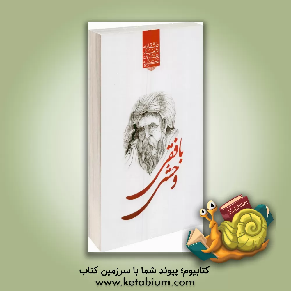 کتاب گزیده برترین اشعار وحشی بافقی اثر کمال‌الدین وحشی‌بافقی