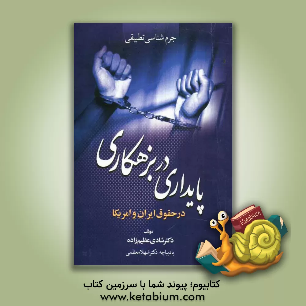 کتاب جرم شناسی تطبیقی پایداری در بزهکاری در حقوق ایران و امریکا اثر شادی عظیم‌زاده