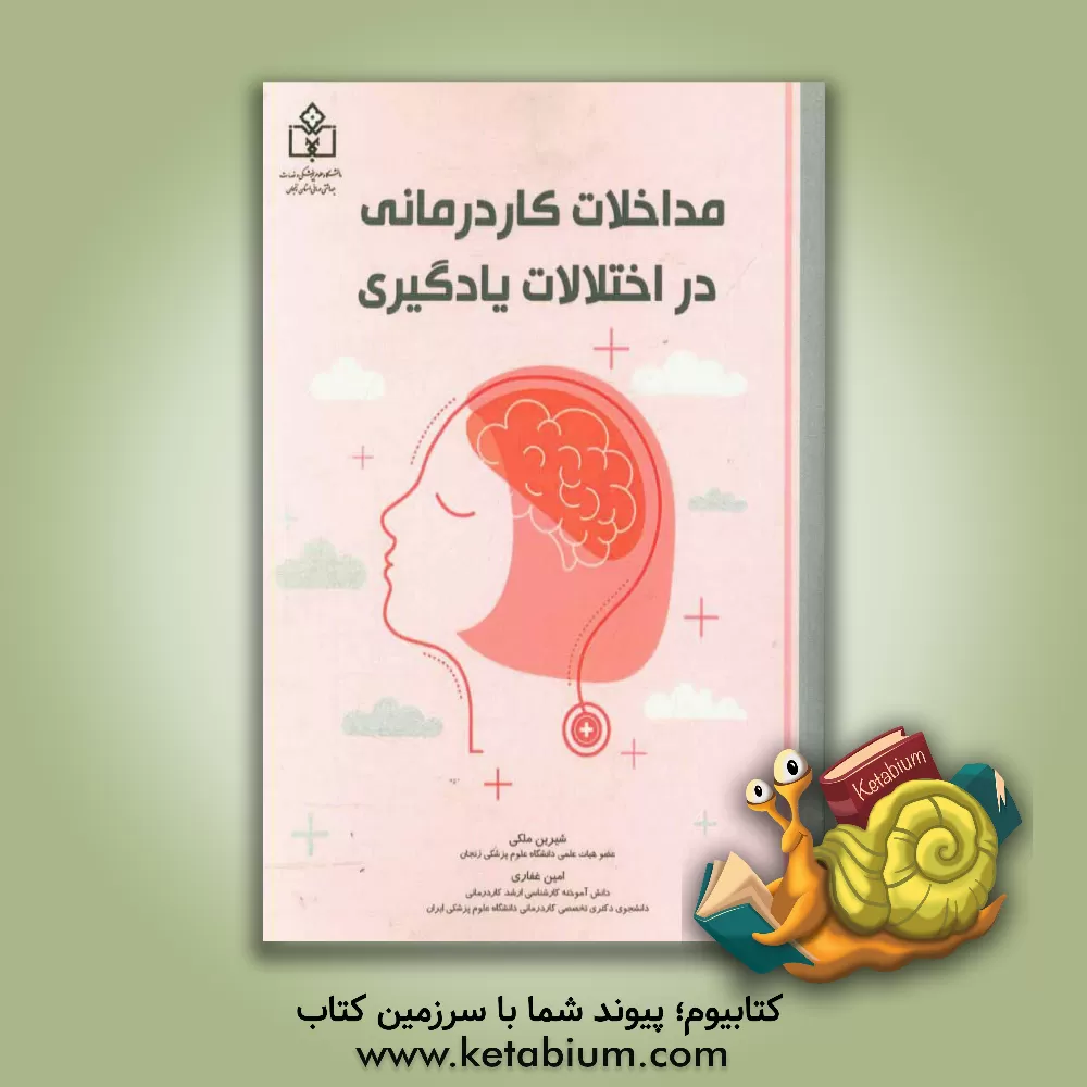 کتاب مداخلات کاردرمانی در اختلالات یادگیری اثر شیرین ملکی