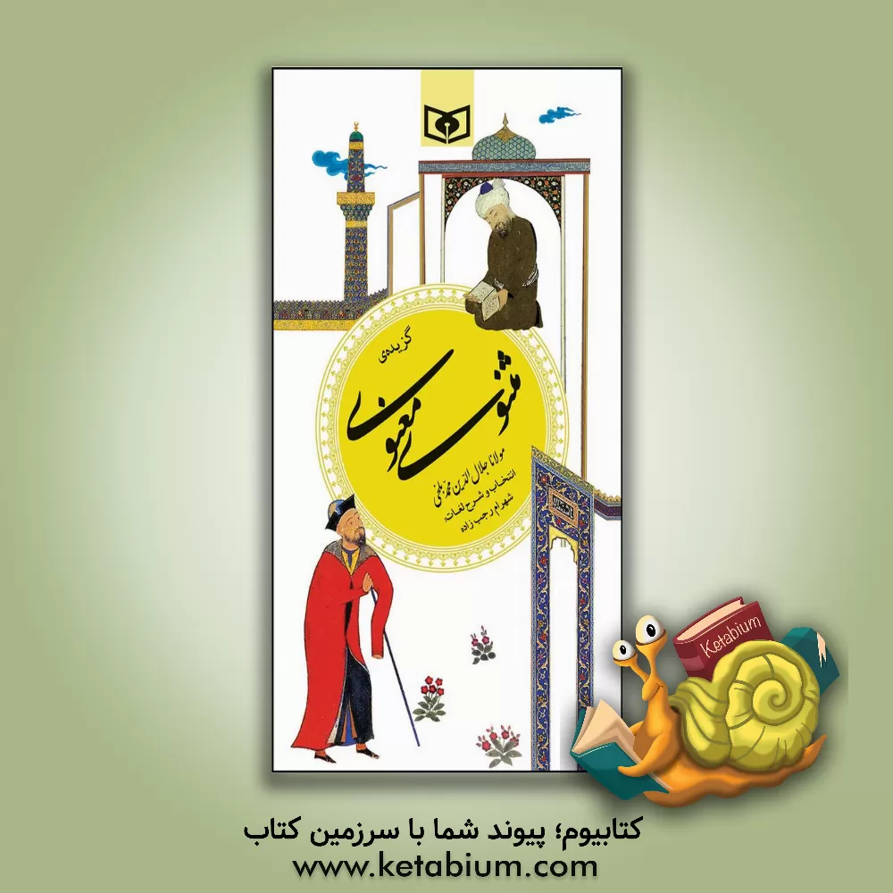 کتاب گزیده مثنوی معنوی |اثر جلال الدین محمدبن محمد مولوی