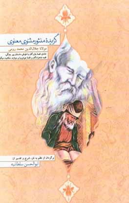 کتاب گزیده منثور مثنوی معنوی: شامل قصه بازرگان و طوطی، داستان پیرچنگی، قصه شاهزادگان و قلعه هوش ربا و دوازده حکایت دیگر اثر جلال‌الدین‌محمدبن‌محمد مولوی