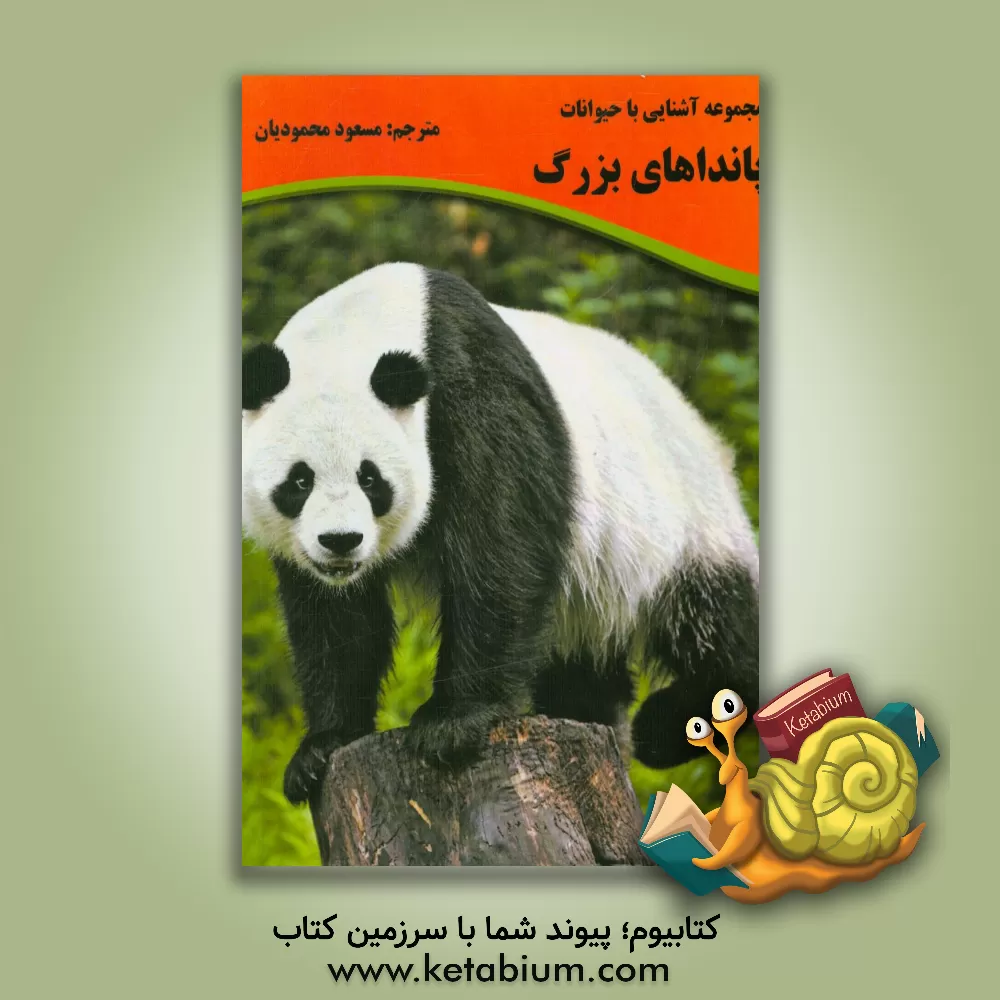 کتاب پانداهای بزرگ اثر کاری شوتس