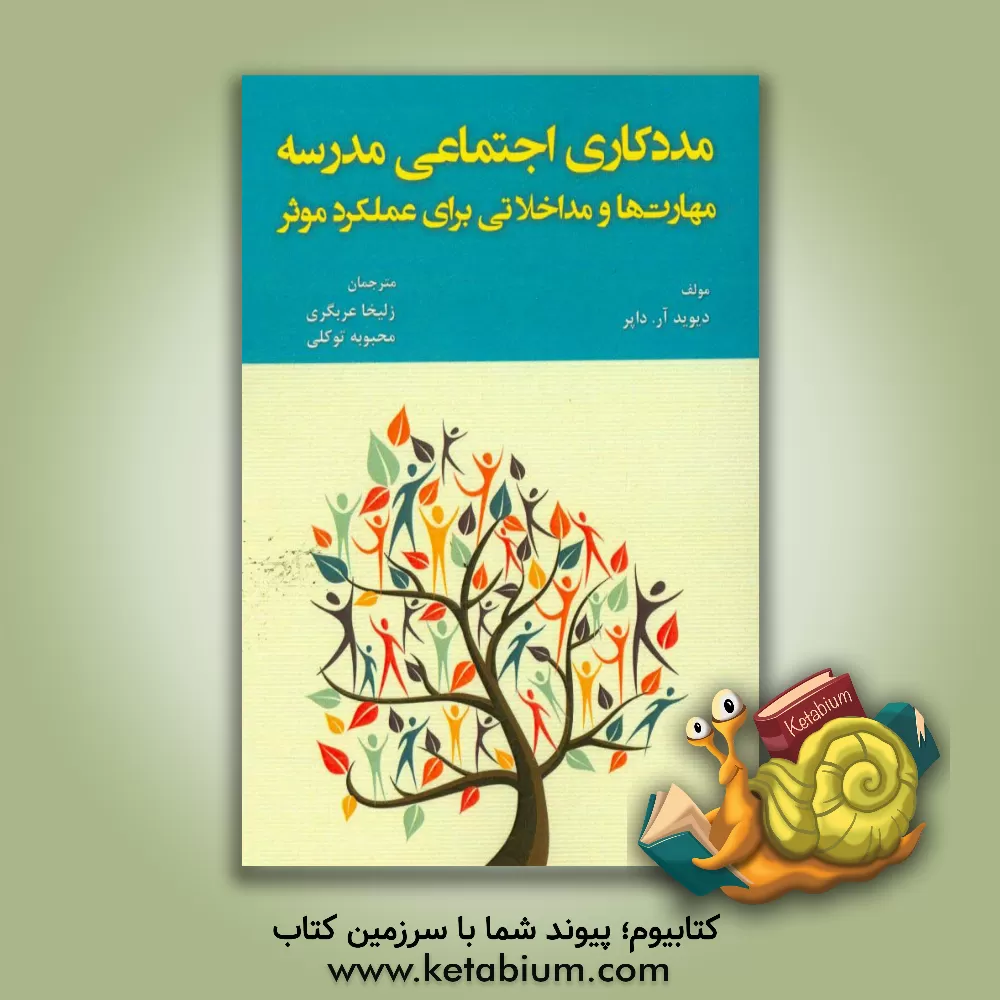 کتاب مددکاری اجتماعی مدرسه: مهارت ها و مداخلاتی برای عملکرد موثر اثر دیوید‌آر. داپر