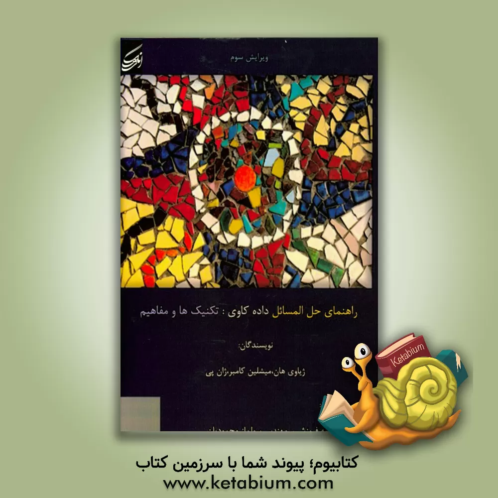 کتاب راهنمای حل مسائل داده کاوی: تکنیک ها و مفاهیم اثر میشلن کمبر