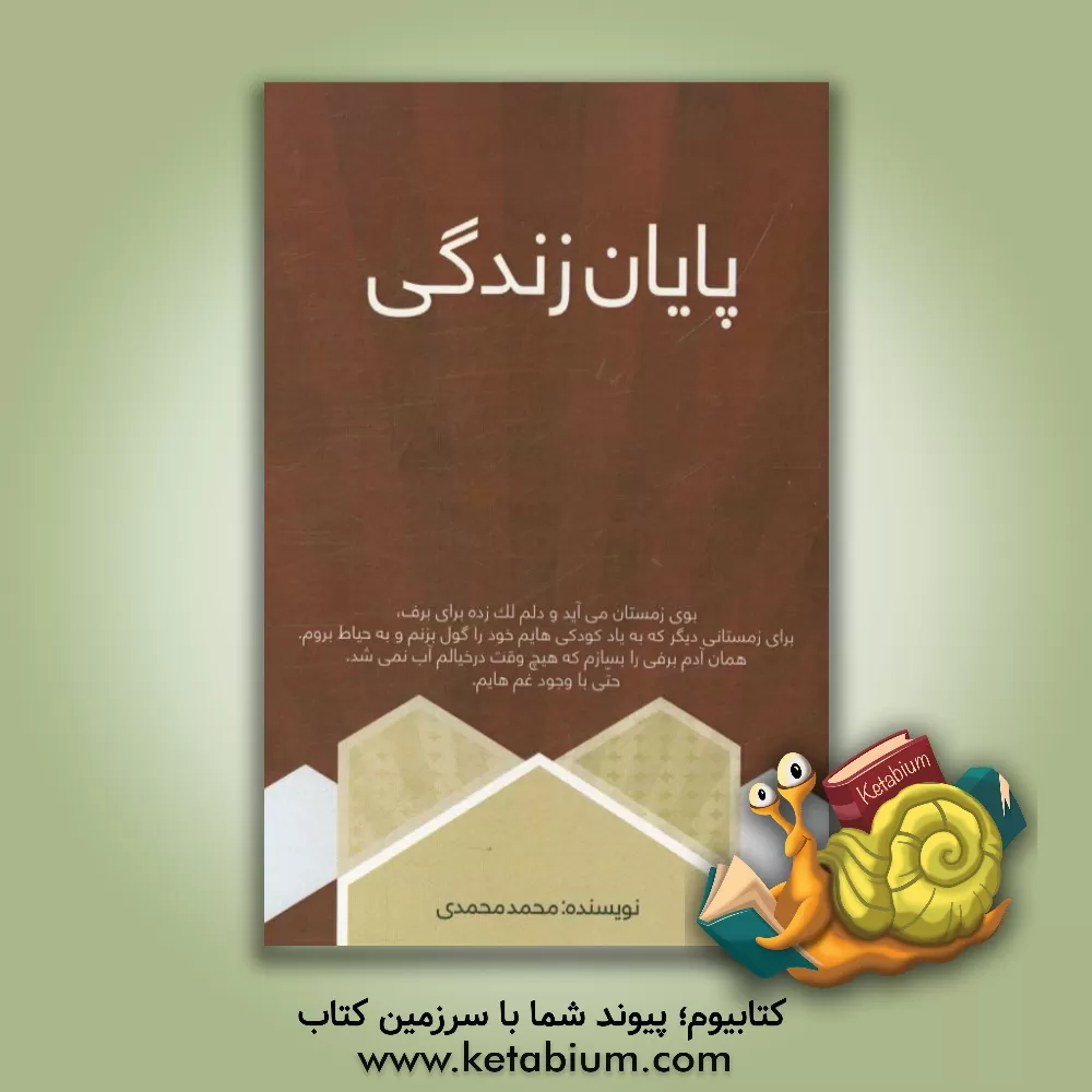 کتاب پایان زندگی ... اثر محمد محمدی