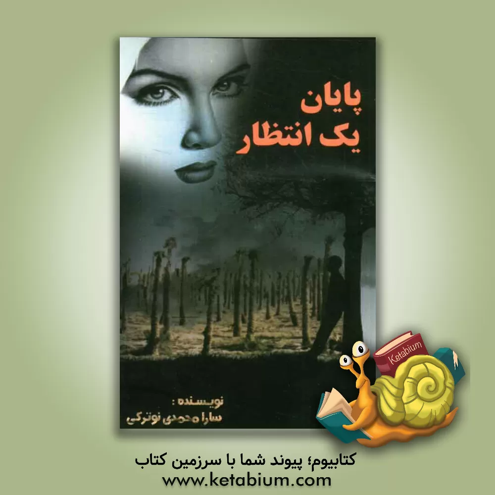 کتاب پایان یک انتظار اثر سارا محمدی‌نوترکی