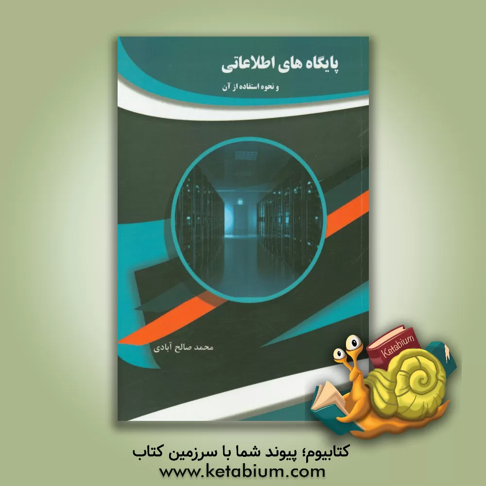 کتاب پایگاه های اطلاعاتی و نحوه استفاده از آن اثر محمد صالح‌آبادی