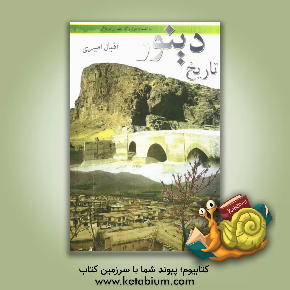 کتاب تاریخ دینور: به انضمام احوال و آثار علماء و عرفا آن اثر اقبال امیری