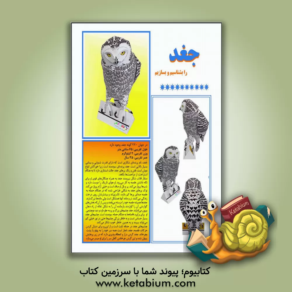 کتاب جغد را بشناسیم و بسازیم |اثر مهناز محمددوست