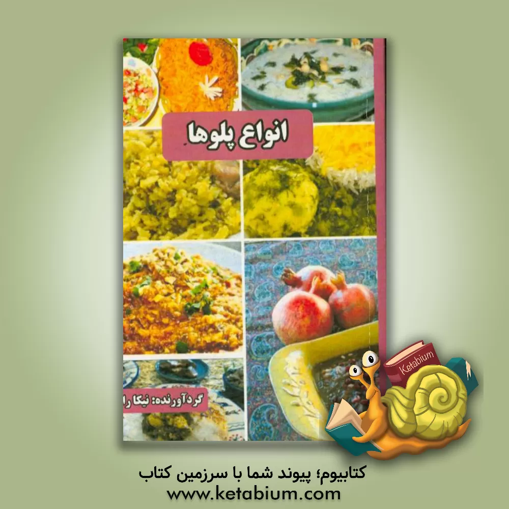 کتاب پخت و پز آسان انواع پلو اثر نیکا راد