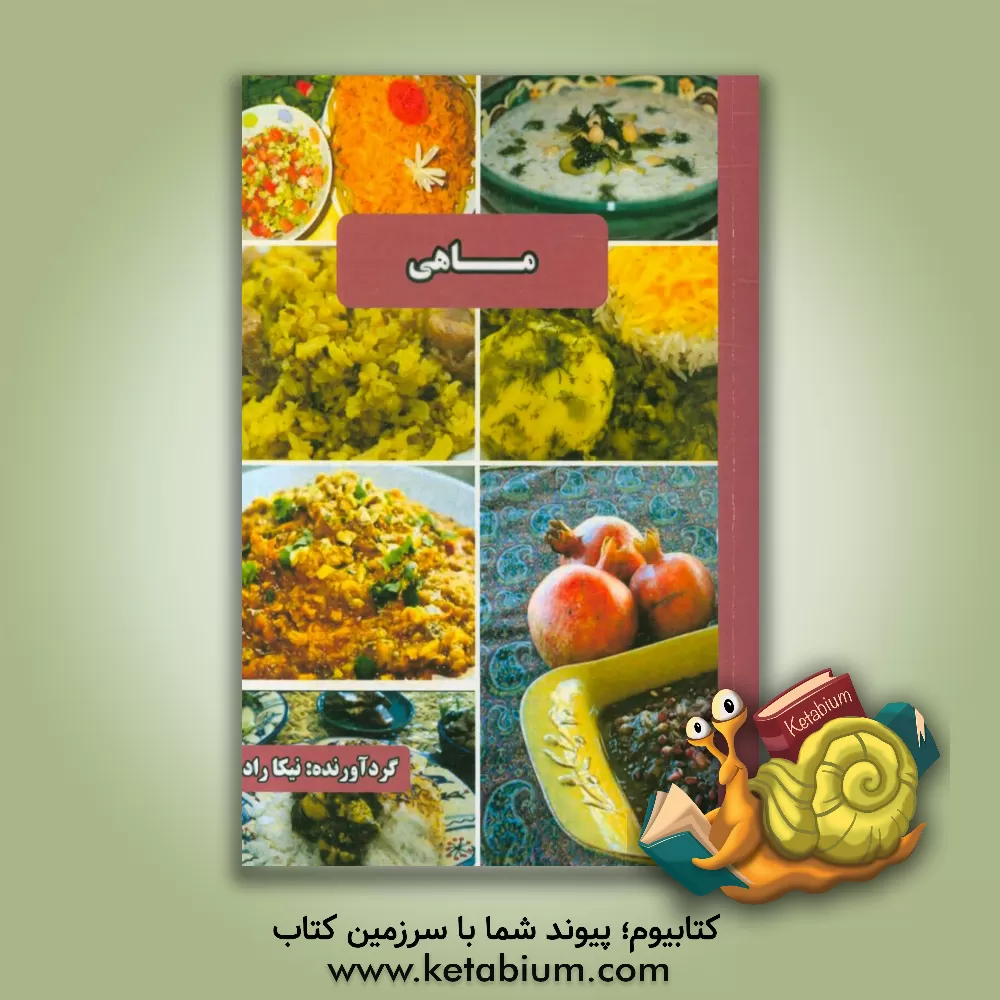 کتاب پخت و پز آسان انواع ماهی اثر نیکا راد