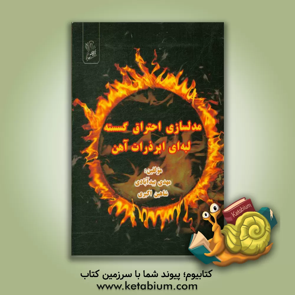کتاب مدل سازی احتراق گسسته لبه ای ابرذرات آهن |اثر مهدی بیدآبادی