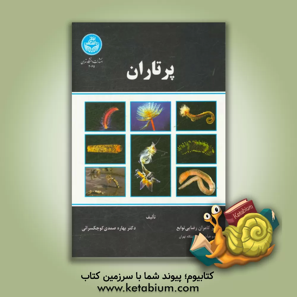 کتاب پرتاران |اثر بهاره صمدی کوچکسرایی