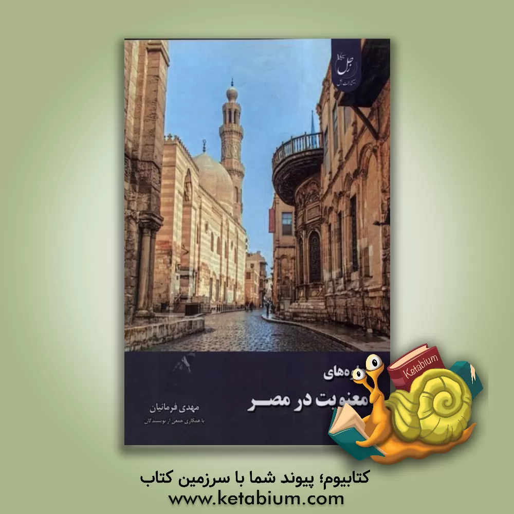 کتاب جلوه های معنویت در مصر: بررسی طریقت های صوفی اثر مهدی فرمانیان