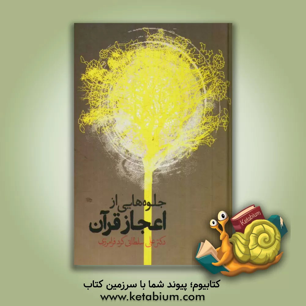 کتاب جلوه هایی از اعجاز قرآن اثر علی سلطانی‌گردفرامرزی