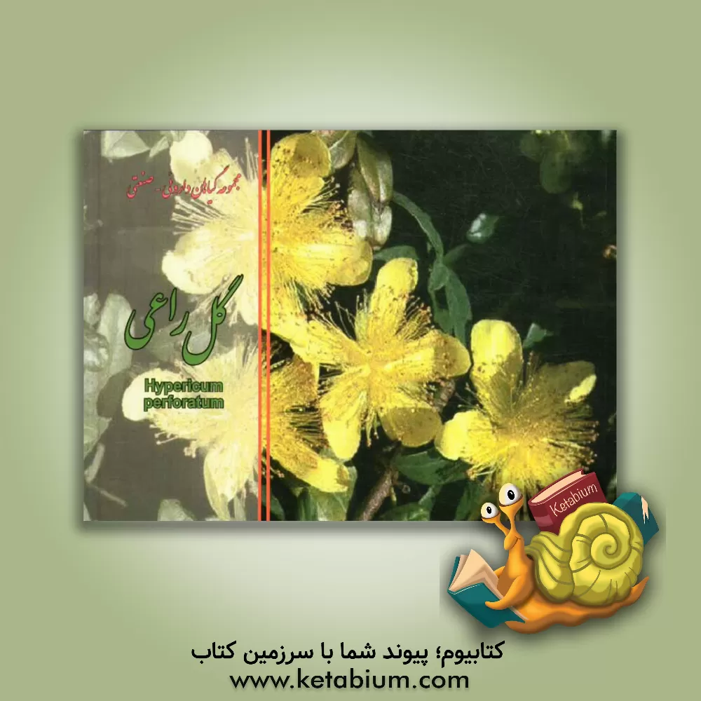 کتاب گل راعی = Hypericum perforatum اثر مهدی عماد