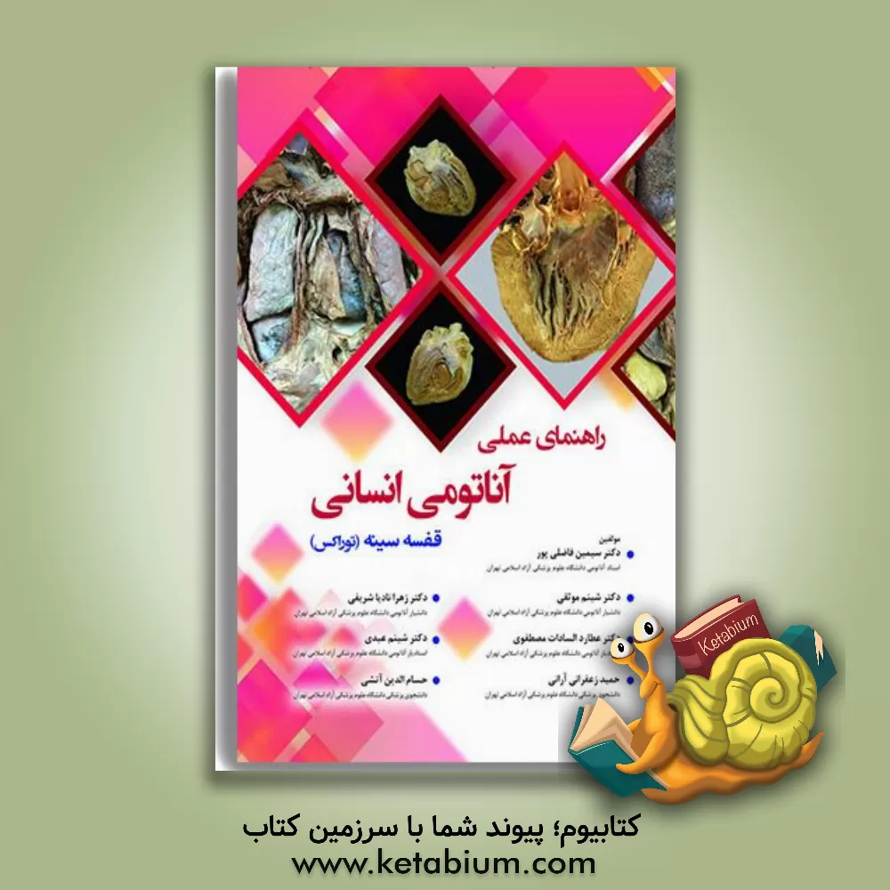 کتاب راهنمای عملی آناتومی انسانی - ابدومن: شکم اثر شبنم موثقی