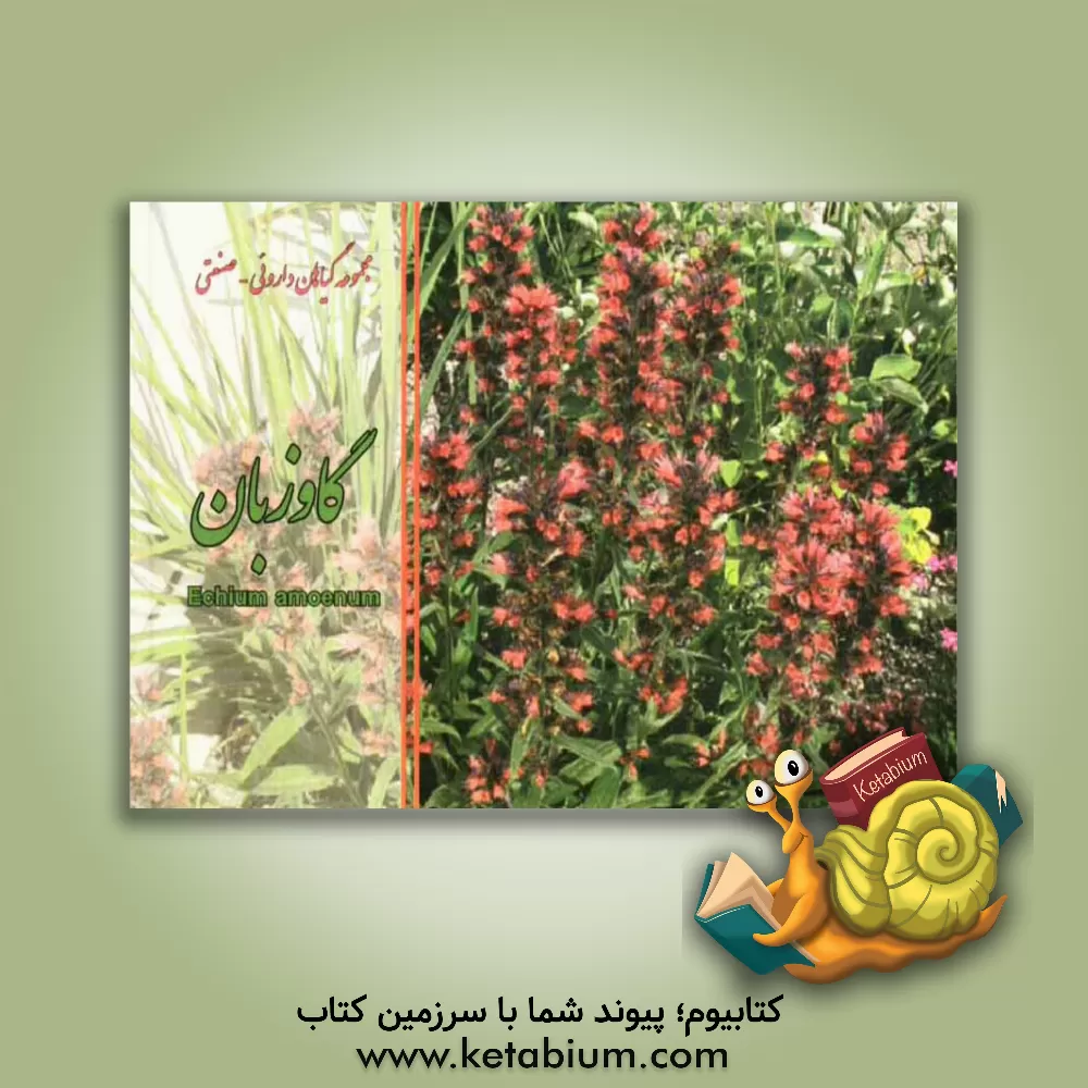 کتاب گل گاوزبان = Echium amoenum اثر مهدی عماد