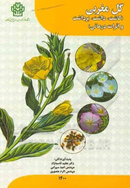 کتاب گل مغربی (کاشت، داشت و برداشت و اثرات درمانی) اثر عظیم قاسم‌نژاد