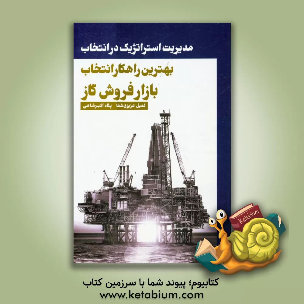 کتاب مدیریت استراتژیک در انتخاب بهترین راهکار انتخاب بازار فروش گاز اثر کمیل عزیزی‌شفا