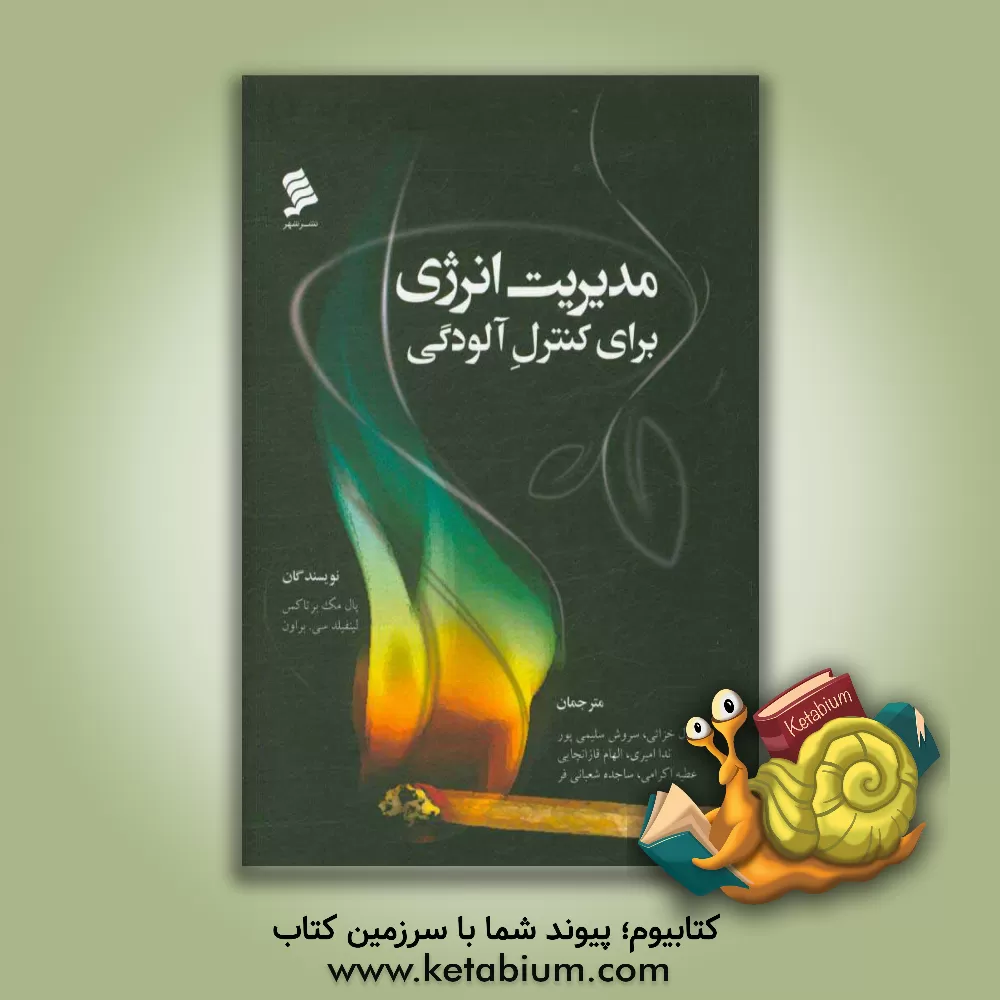 کتاب مدیریت انرژی برای کنترل آلودگی اثر پل‌مک برتوکس