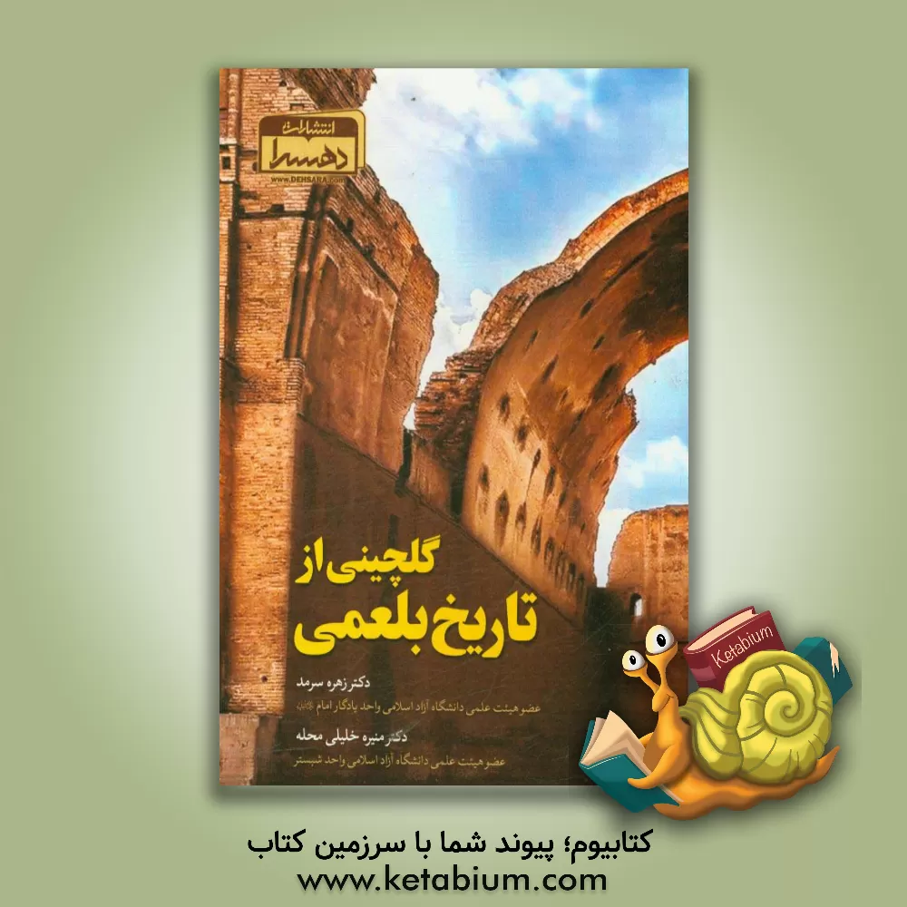 کتاب گلچینی از تاریخ بلعمی اثر زهره سرمد