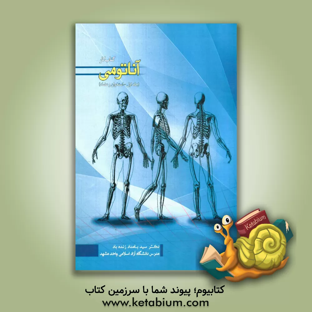 کتاب کتاب کار آناتومی: استخوان و عضله اثر سیدبامداد زنده‌باد
