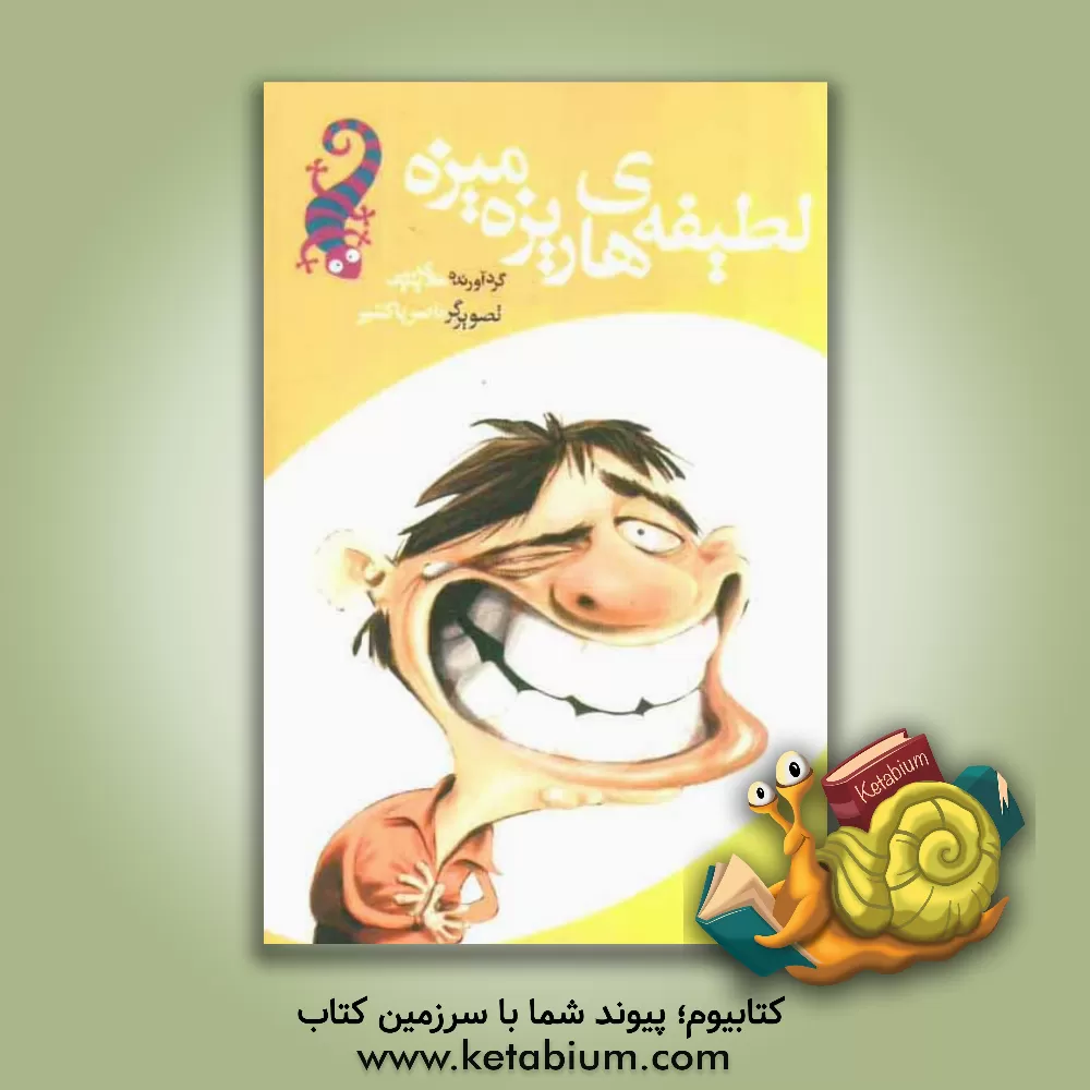 کتاب لطیفه های ریزه میزه اثر هادی بنایی