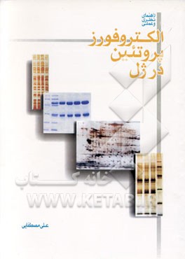 کتاب راهنمای نظری و عملی الکتروفورزپروتئین درژل اثر علی مصطفایی