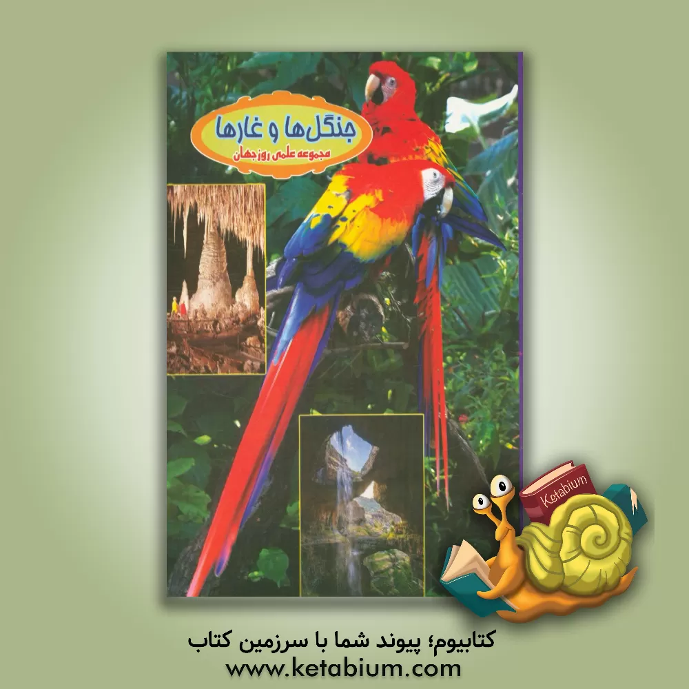 کتاب جنگل ها و غارها |اثر علی ذوالفقاری