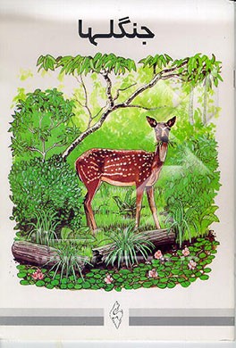 کتاب جنگلها |اثر مجتبی الهی خراسانی