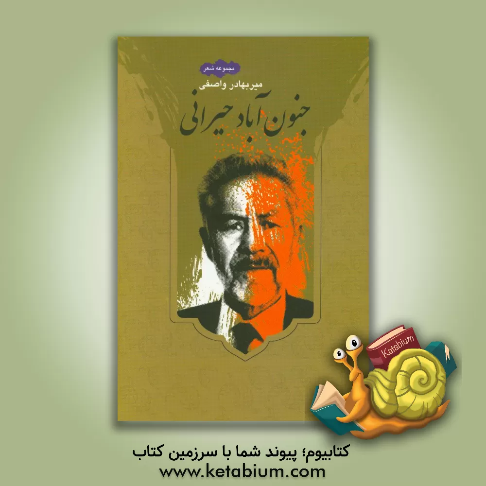 کتاب جنون آباد حیرانی: مجموعه شعر اثر میربهادر واصفی