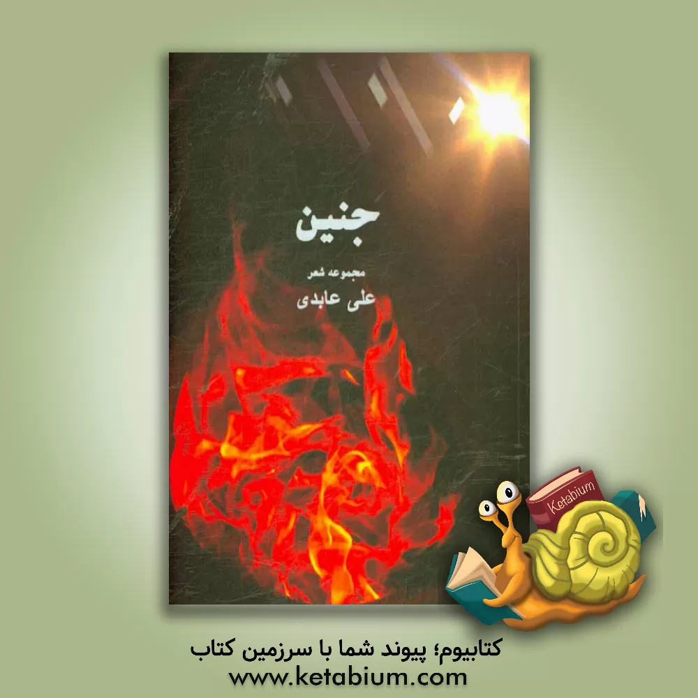 کتاب جنین اثر علیرضا عابدی