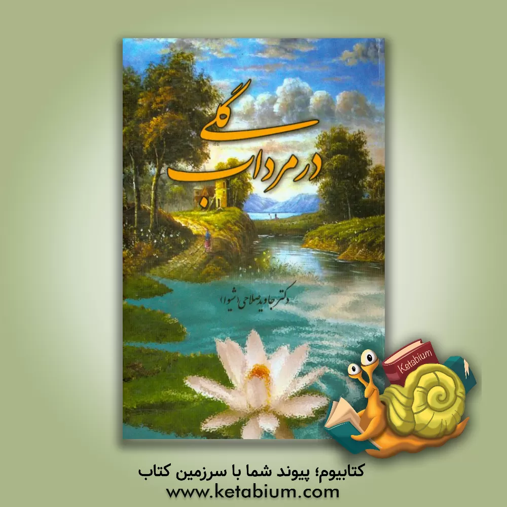 کتاب گلی در مرداب اثر جاوید صلاحی