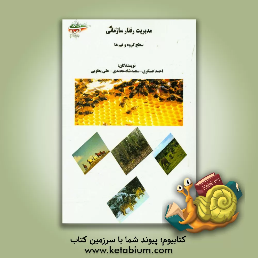 کتاب مدیریت رفتار سازمانی: سطح گروه و تیم اثر سعید شاه‌محمدی