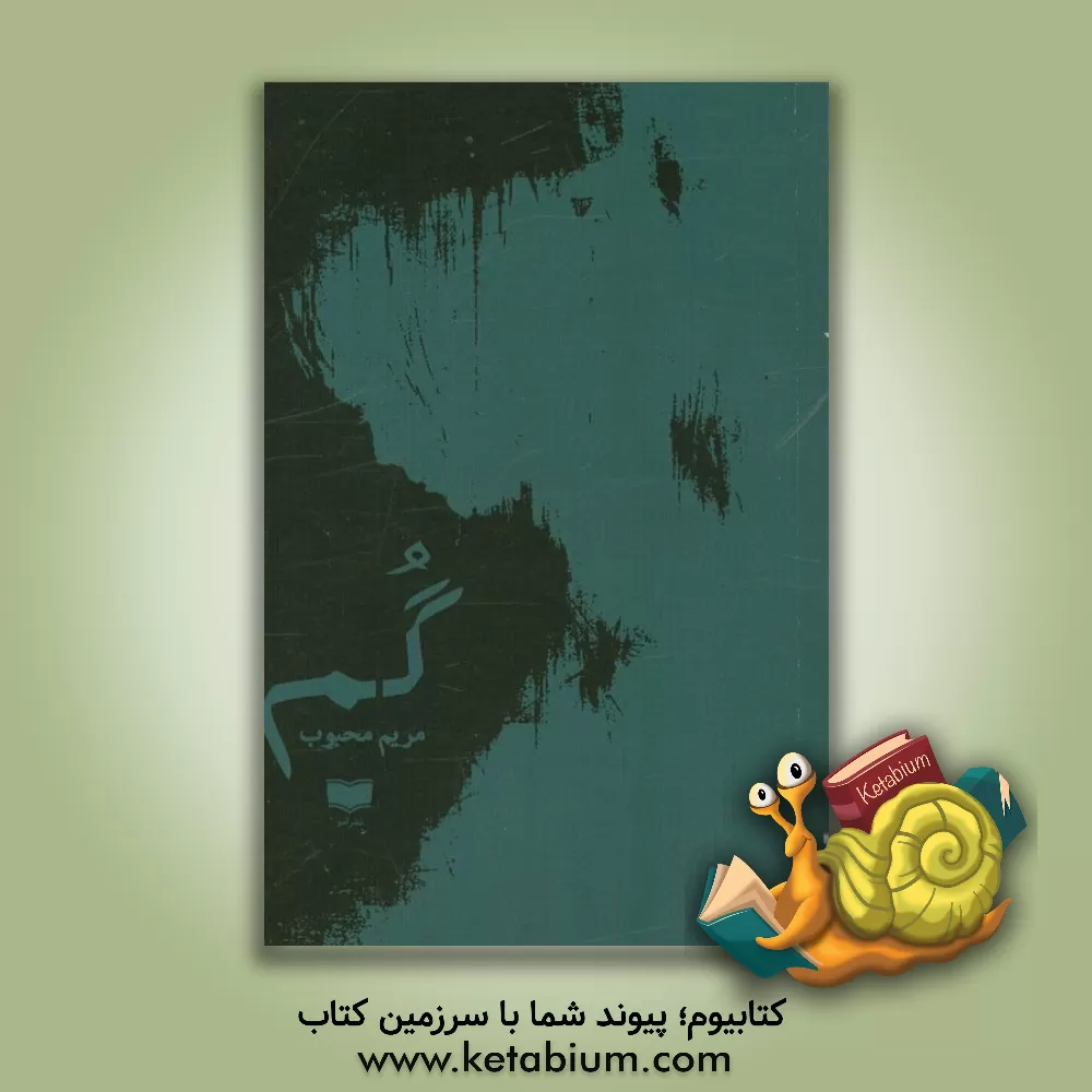 کتاب گم اثر مریم محبوب